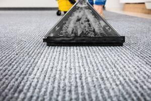 True Clean Carpet Online Auction