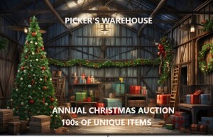 Pickers #5 Online Auction