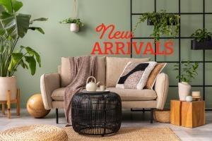 Home Goods 10 Online Auction