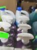 DESCRIPTION: (6) MOLD AND MILDEW REMOVER BRAND/MODEL: LYSOL INFORMATION: LAVENDER RETAIL$: $5.00 EA SIZE: 32 FL OZ QTY: 6 - 2