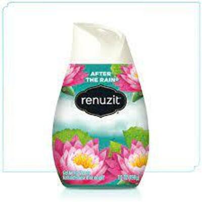 DESCRIPTION: (4) AIR FRESHNERS BRAND/MODEL: RENUZIT INFORMATION: AFTER THE RAIN RETAIL$: $2.00 EA SIZE: 1 OZ CONE QTY: 4