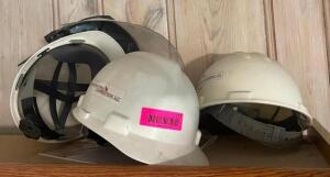 (3) HARD HATS