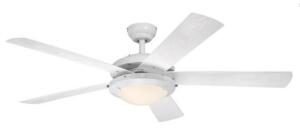 (1) CEILING FAN