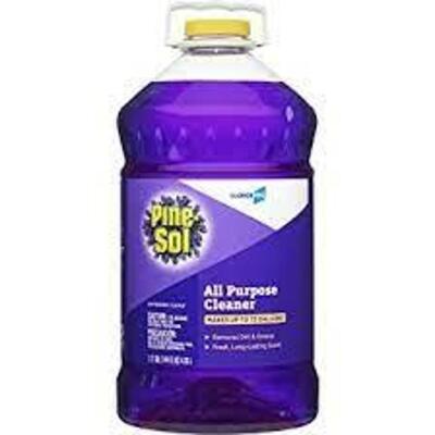 (1) ALL PURPOSE CLEANER