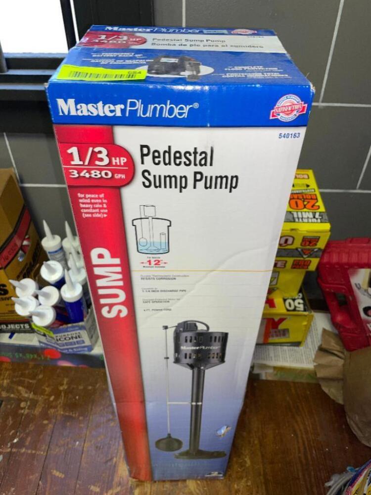 MASTER PLUMBER 1/3 HP PEDESTAL SUMP PUMP