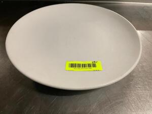 DESCRIPTION: (12) 11" WORLD CHINA PLATES SIZE: 11" LOCATION: BAY 7 THIS LOT IS: SOLD BY THE PIECE QTY: 12