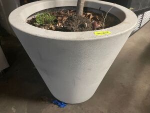 26" T X 29" R PLASTIC PLANTER W/ TREE