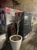 26" T X 29" R PLASTIC PLANTER W/ TREE - 2