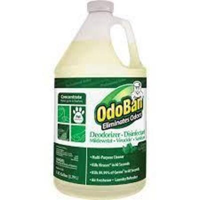 DESCRIPTION: (2) DEODORIZER AND DISINFECTANT BRAND/MODEL: ODOBAN RETAIL$: $20.00 EA SIZE: 1 GALLON QTY: 2