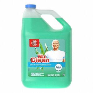 DESCRIPTION: (2) MULTI-PURPOSE CLEANER BRAND/MODEL: MR CLEAN #33NT80 RETAIL$: $17.00 EA SIZE: 1 GALLON QTY: 2