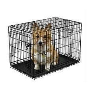 DESCRIPTION: (1) TWO DOOR DOG TRAINING CRATE BRAND/MODEL: VIBRANT LIFE RETAIL$: $100.00 SIZE: 30X19X21 QTY: 1