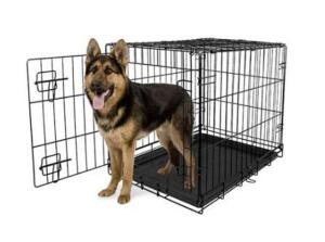 (1) FOLDING PET CAGE