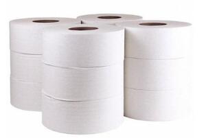 (1) PACK OF (12) TOILET PAPER ROLL