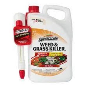 (1) READY TO USE GRASS AND WEED KILLER