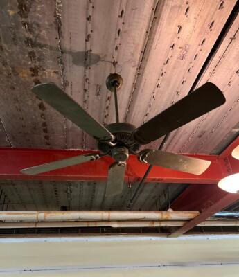 5 BLADE CEILING FAN