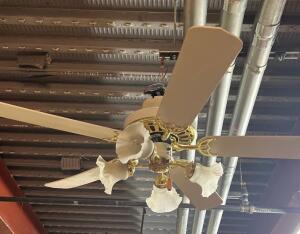 5 BLADE CEILING FAN