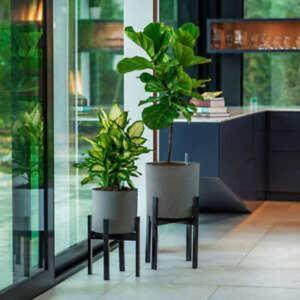 Vita V�xa Planters, 2-pack Model VT17903 #2