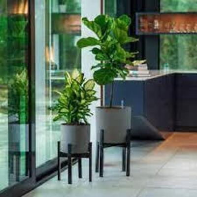 Vita V�xa Planters, 2-pack Model VT17903 #2
