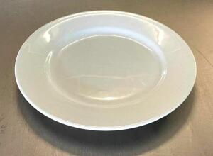 DESCRIPTION: (39) 10-1/4" BRIGHT WHITE PORCELAIN PLATES BRAND/MODEL: BUFFALO C-19 SIZE: 10-1/4" QTY: 39