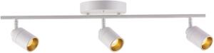 24" THREE BULB LED FIXED RAIL CEILING LIGHT