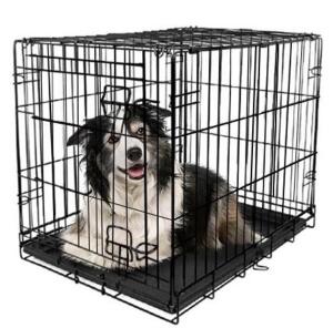 DESCRIPTION: (1) FOLDING DOG CRATE BRAND/MODEL: VIBRANT LIFE/34972 INFORMATION: BLACK/ONE-DOOR RETAIL$: 53.97 SIZE: 30"H X 27"W X 42"L QTY: 1