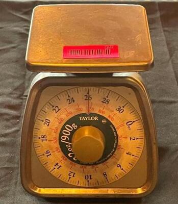 TAYLOR 900 GRAM FOOD SCALE