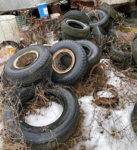 DESCRIPTION: ASSORTED TIRES AS SHOWN LOCATION: BACK LOT LOCATION: 6249 LORENS LN. CEDAR HILL, MO 63016 QTY: 1