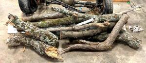 DESCRIPTION: ASSORTED FIREWOOD AS SHOWN LOCATION: WAREHOUSE LOCATION: 6249 LORENS LN. CEDAR HILL, MO 63016 QTY: 1