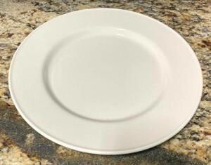 (6) 9.5" DINNER PLATES