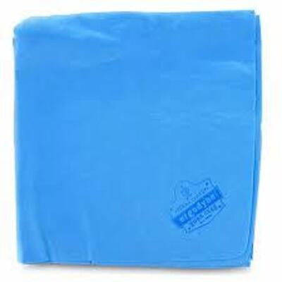 DESCRIPTION: (10) EVAPORATIVE COOLING TOWEL BRAND/MODEL: ERGODYNE CHILL -ITS #6602 INFORMATION: BLUE RETAIL$: $6.23 EA QTY: 10