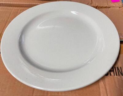 (24) 9.75" CHINA PLATES