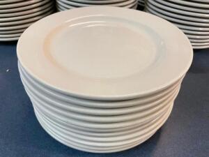 (12) 9.75" CHINA PLATES