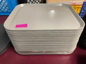 (30) 14" X 18" CAMBRO CAFE TRAYS