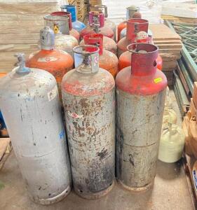 (15) - ASSORTED PROPANE TANKS - EMPTY