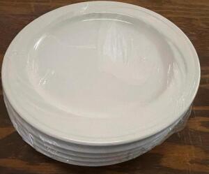 (60) 9" CASCADE CHINA PLATES