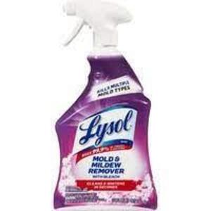 (6) MOLD AND MILDEW REMOVER WITH BLEACH