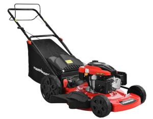 DESCRIPTION (1) POWERSMART LAWN MOWER BRAND/MODEL DB9422SR ADDITIONAL INFORMATION 200CC/SELF-PROPELLED/3-IN-1/RETAILS AT $349.00 SIZE 22" THIS LOT IS