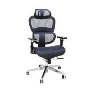 DESCRIPTION: (1) MESH OFFICE CHAIR BRAND/MODEL: OFM #540-BLU INFORMATION: BLACK RETAIL$: $260.00 EA QTY: 1