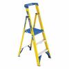 (1) FIBERGLASS PLATFORM STEPLADDER