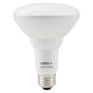 (6) LED FLOOD LIGHT BULB