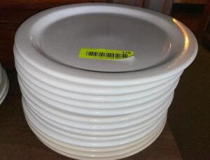 (13) 9.5" CHINA PLATES