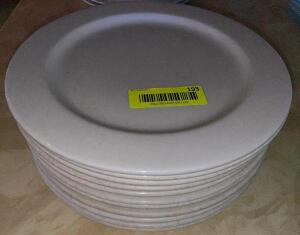 (10) 9" CHINA PLATES