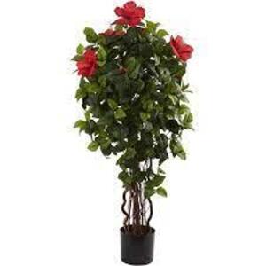 DESCRIPTION: (1) ARTIFICIAL GREEN AND RED HIBISCUS TREE BRAND/MODEL: NEARLY NATURAL RETAIL$: $109.00 EA SIZE: 48" QTY: 1