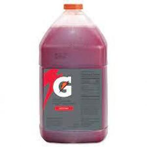 DESCRIPTION: (2) SPORTS DRINK CONCENTRATE BRAND/MODEL: GATORADE INFORMATION: FRUIT PUNCH RETAIL$: $17.17 EA SIZE: 1 GALLON QTY: 2