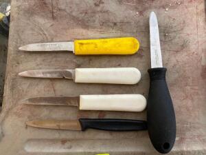 ASSORTED KNIVES (5 PACK)
