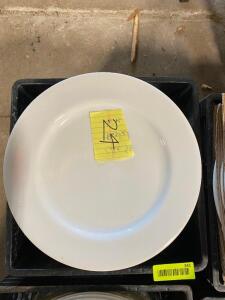 (24) CERAMIC 8" PLATES