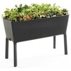 DESCRIPTION: (1) FULL BLOOM GARDEN BED BRAND/MODEL: KETER INFORMATION: BLACK RETAIL$: $114.00 EA SIZE: 44.9"W 19.4"D 29.8"H QTY: 1