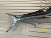 DESCRIPTION: 56" ROOSTERFISH WALL MOUNT SIZE: 56" LOCATION: STORE FRONT QTY: 1 - 4