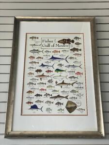 DESCRIPTION: 39" FRAMED FISHES OF THE GULF PRINT LOCATION: FRONT QTY: 1