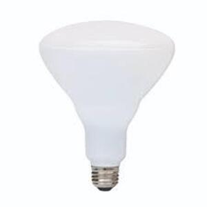 (2) WATERPROOF INTEGRATED LED LIGHT BULB